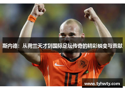 斯内德：从荷兰天才到国际足坛传奇的精彩蜕变与贡献
