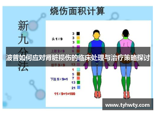 波普如何应对肾脏损伤的临床处理与治疗策略探讨
